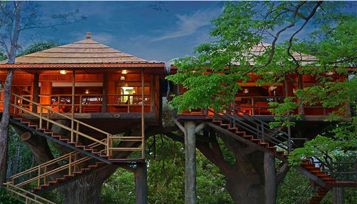Best Treehouses in Kerala