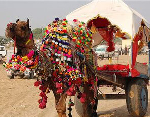 Golden Triangle Tour with Ajmer and Pushkar